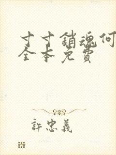 寸寸销魂何生祥全本免费