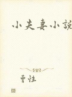 小夫妻小说封面