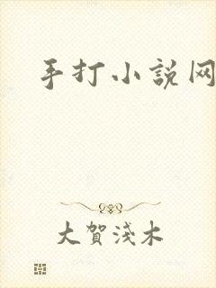 手打小说网