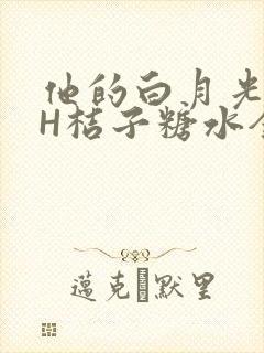 他的白月光HVH桔子糖水全文