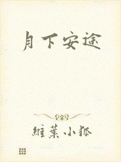 月下安途