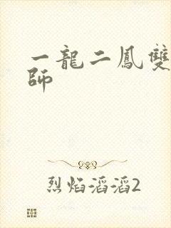 一龙二凤双飞老师封面
