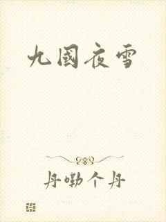 九国夜雪封面