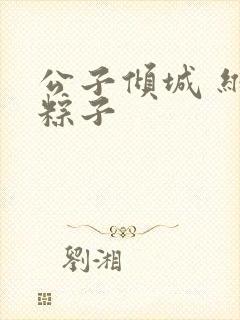 公子倾城 维和粽子