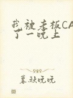 我被老板CAO了一晚上