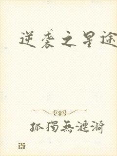 逆袭之星途闪耀