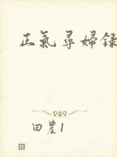 正气寻妇录封面