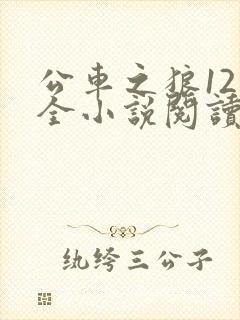 公车之狼12集全小说阅读封面