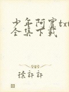 少年阿宾txt全集下载
