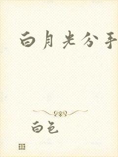 白月光分手日常