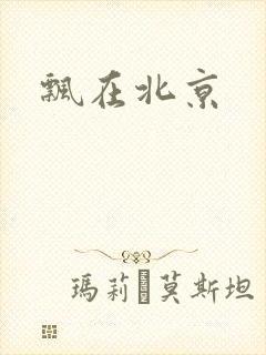 飘在北京封面