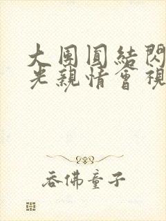 大团圆结闪闪发光亲情会视频