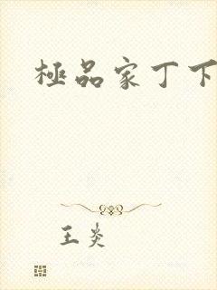 极品家丁下载封面