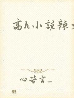 高h小说辣文