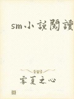 sm小说阅读