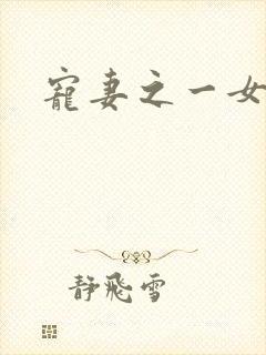 宠妻之一女二夫封面