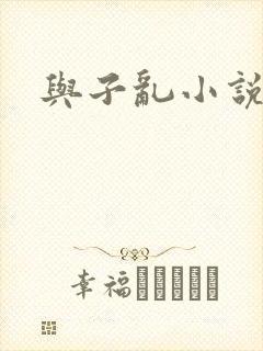与子乱小说封面