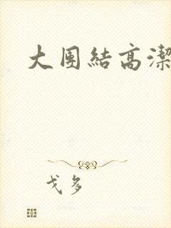 大团结高洁封面