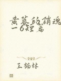 黄蓉的销魂夜1一6短篇封面