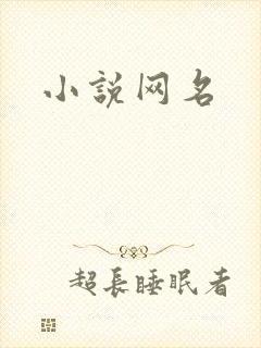 小说网名