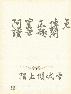 阿宾正传免费阅读笔趣阁