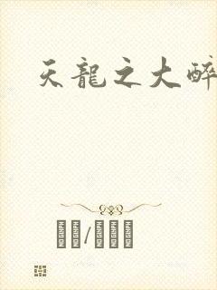 天龙之大醉侠封面
