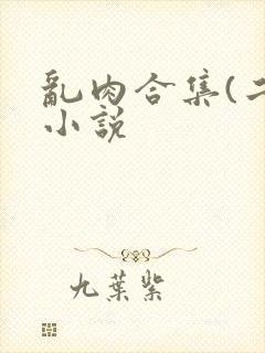 乱肉合集(二)小说封面