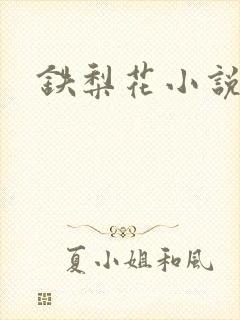 铁梨花小说