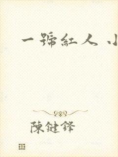 一号红人 小说