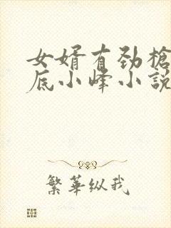 女婿有劲枪枪到底小峰小说