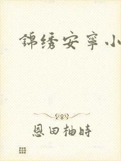 锦绣安宁小说