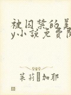 被囚禁的美人by小说免费阅读