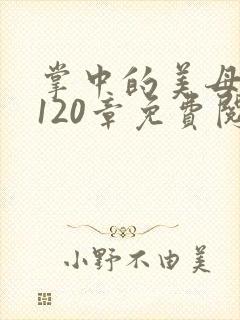 掌中的美母版主120章免费阅读
