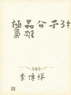 极品公子3续世枭雄