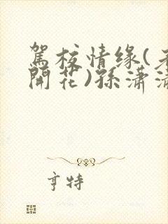 驾校情缘(老树开花)孙潇潇第一次趣笔阁