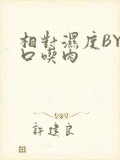 相对湿度BY大口吃肉