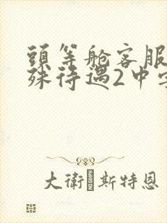 头等舱客服的特殊待遇2中字封面