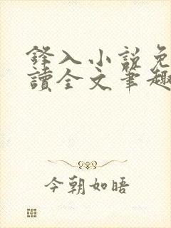 锋入小说免费阅读全文笔趣阁