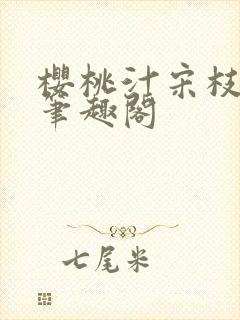 樱桃汁宋枝江野笔趣阁封面