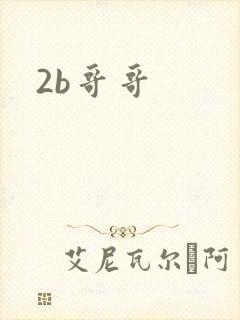 2b哥哥
