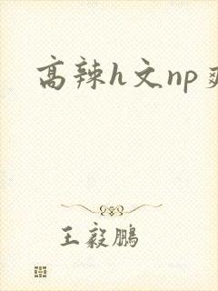 高辣h文np爽