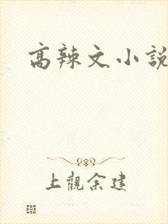 高辣文小说
