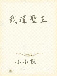 武道圣王