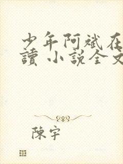 少年阿斌在线阅读 小说全文免费