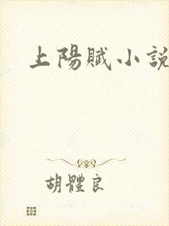 上阳赋小说封面