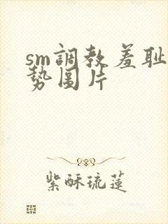 sm调教羞耻姿势图片