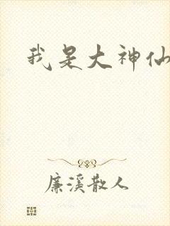 我是大神仙小说