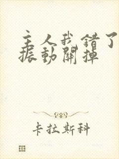 主人我错了请把振动关掉封面