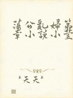 荡公乱妇第51章小说小莹