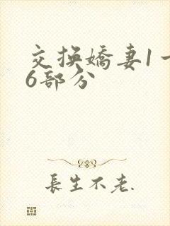 交换娇妻1一36部分